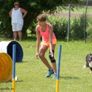 Agility Turnier des ÖSPSC