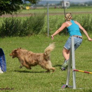 Agility Turnier des ÖSPSC