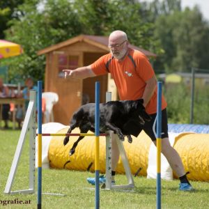 Agility Turnier des ÖSPSC