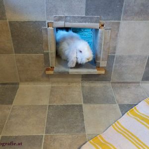 HOPPLI - Das Kaninchengehege für IKEA Freunde