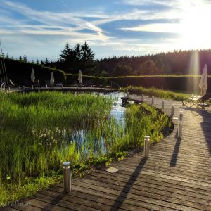 Das Naturschwimm-Biotop bei Sonnenuntergang