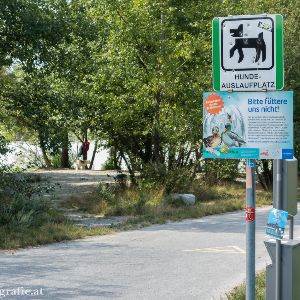 Hundestrand Donauinsel Nord