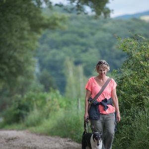 Kurzhaarcollie Treffen in Sulz im Wienerwald