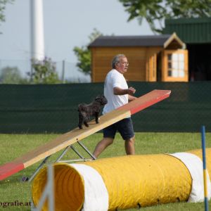 Agility Turnier des ÖSPSC