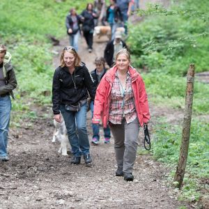 Kurzhaarcollie Treffen in Sulz im Wienerwald